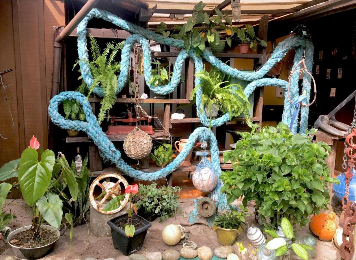 蜜岛 鲍勃派菲略旅馆酒店 外观 照片